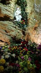 dsc 0800 40797839375 o